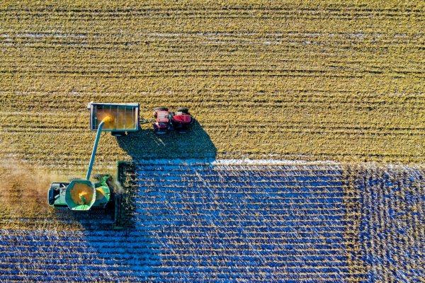 a top down view of a combine harvesting a crop